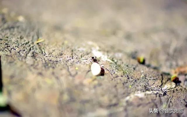 中国顶级大米排行榜！快看看有没有你家乡的