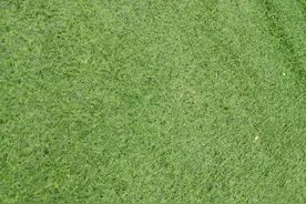 谢谢你，这么爱我图片