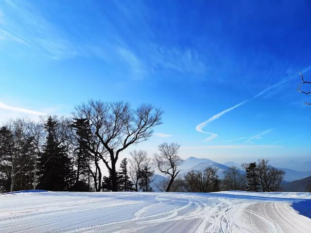 北大湖（壶）滑雪度假区健飞BASI青少儿滑雪训练营现正火热招募中！
