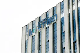 飞书凭什么“飞”？图片