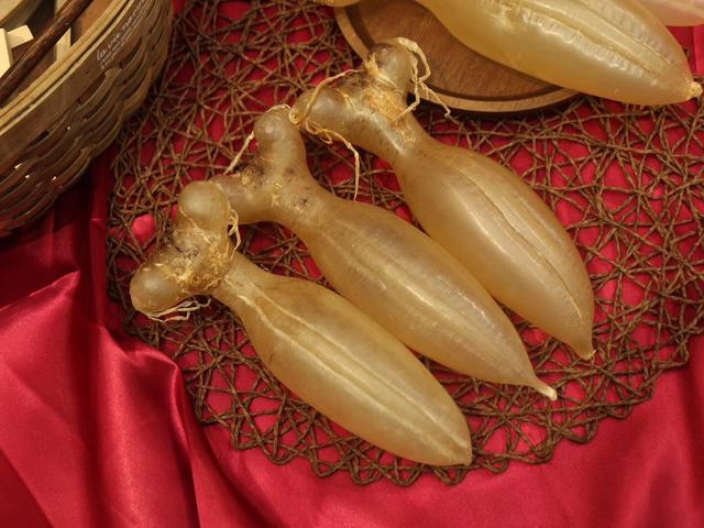 鱼胶跟猪肚可以一起煮不好以吃吗 2025年鱼胶跟猪肚可以一起煮不好以吃