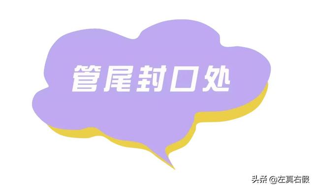欧舒丹身体乳辨别真假