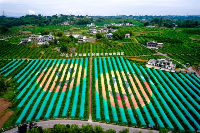 “美好西南·美丽乡村”第十四届中国西南六省区市摄影联展系列活动在弥勒开幕