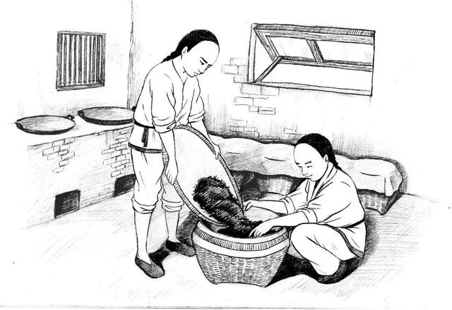 六堡茶丨可以喝的古董：一半是茶，一半是药