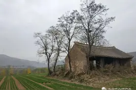 荒山野岭，发现荒废小庙，却有六块古碑——道不尽人间沧桑图片