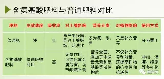 你所不知道的氨基酸