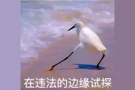 辣眼睛！广西钦州某养生馆查获一对男女，卖淫嫖娼窝点被"拆"…图片