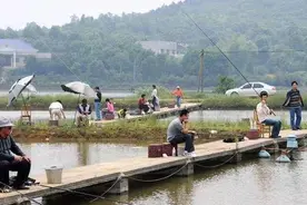 开业到关门，一年内24家黑坑消失！钓鱼大县的黑坑为何不长久？图片