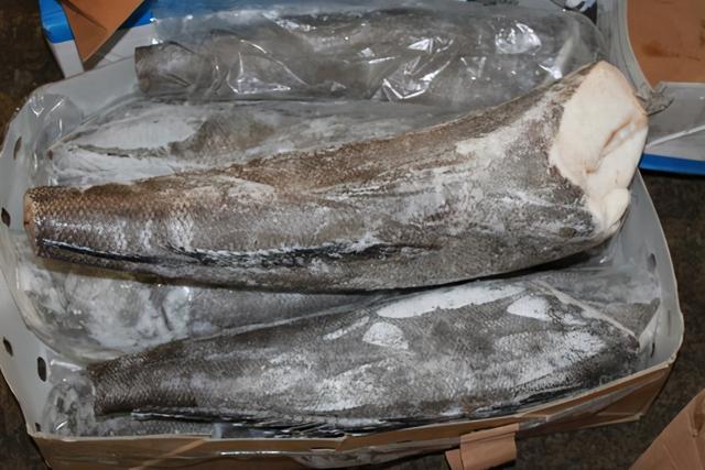 银鳕鱼的样子图片大全 银鳕鱼长什么样子图片