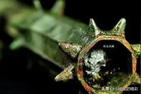 墓坑挖出30根奇棍，考古队没当回事，专家：国宝失传2200年图片