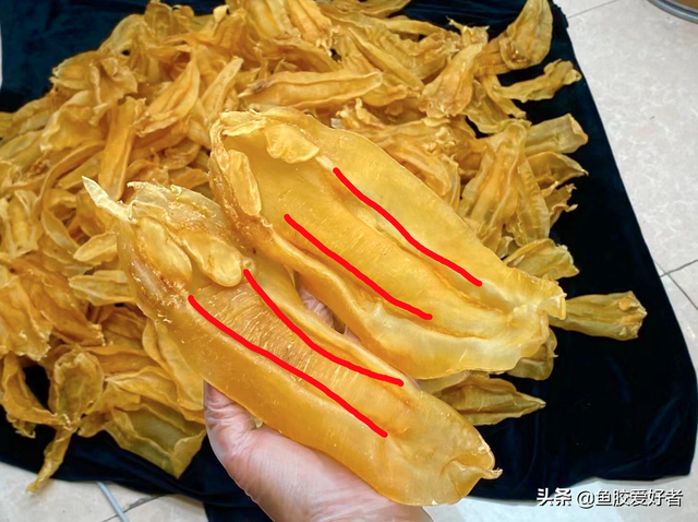 黄花皎北海花胶 2026年北海黄花胶的功效与作用