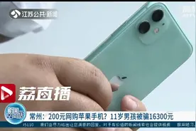 事发常州：200元就能网购苹果手机？11岁男孩被骗16300元图片