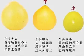 这样挑柚子，皮薄肉甜图片