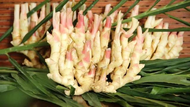 家乡铜陵土特产--生姜
