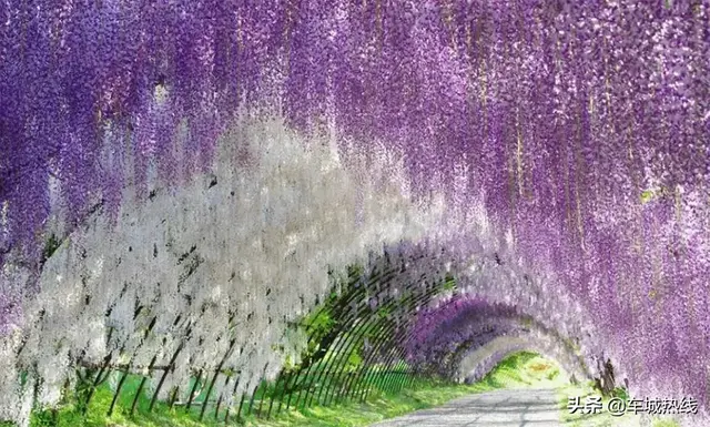 ��Ʊ����ͣ�ʮ�������ˮʥ�طŴ��У��ſ�ˮĻ��Ӱ���λñ�����