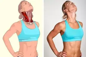 终于找到这套全身拉筋动作3D图解，比教科书还管用图片