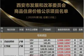 4月首批价格公示，9字开头，买房的你 ，会是被割韭菜的那个吗？图片