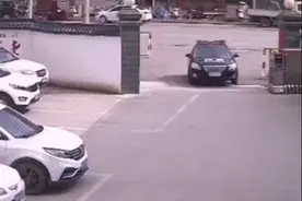 还记得那只闯入特警队的流浪小马犬吗？这货终于被收编啦！图片