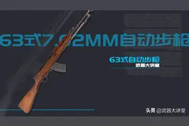 号称连发SKS自动步枪，来自中国制造，现在越南还大量使用图片