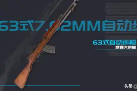 号称连发SKS自动步枪，来自中国制造，现在越南还大量使用图片
