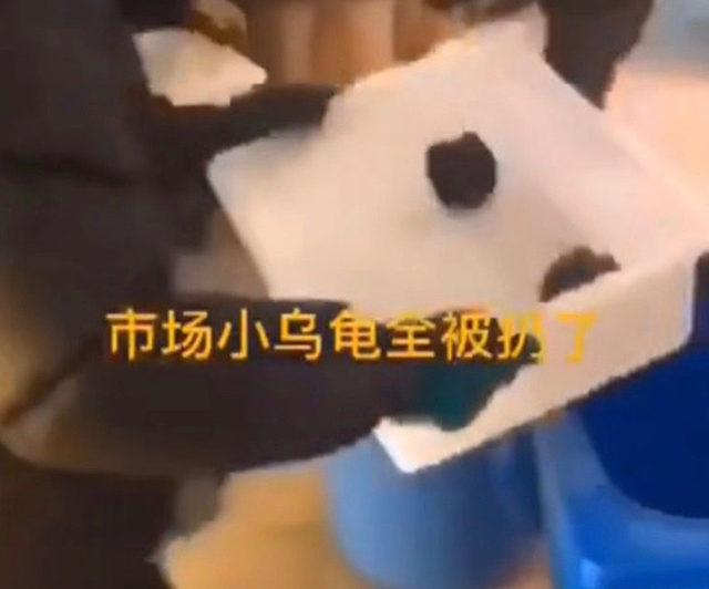 日本电影鸡皮疙瘩百度云资源