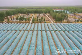 塔里木油田：要让农民富起来图片