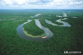 人类禁区亚马逊雨林有多恐怖？人类的贪婪，使雨林沦为碳排放之源图片