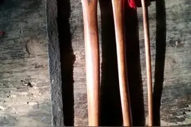 古人用它挖人参，随便盘盘还“滋滋”冒油，也太优秀了图片