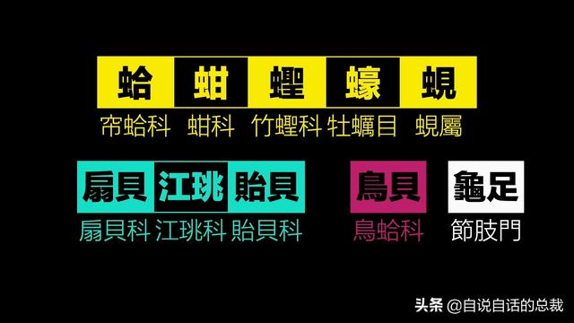 蛤、蚶、蛏、蚝、蚬有什么区别？这是一群美味海怪与人类的故事
