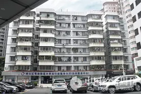 专访深圳粤海街道办团队：爆红后压力有点大图片