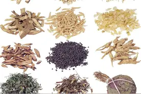 烘干知识篇——烘干在中药材初加工中的应用图片