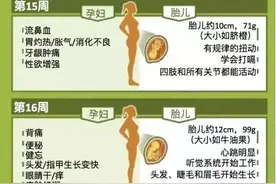 孕期怎样度过——孕中期图片