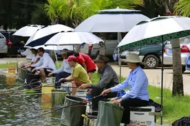 客观看待钓位对渔获量的影响，解析黑坑垂钓时的“偏坑”现象图片