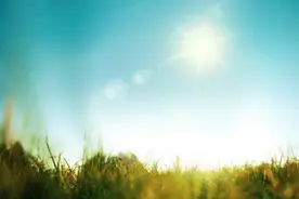 什么是幸福？什么是优秀？图片