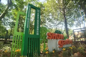 石家庄市植物园新开了一个园，可以领略神秘古树传奇，快去看看吧图片