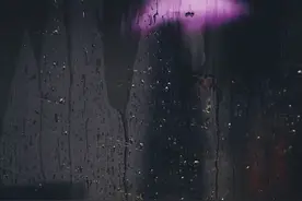 摄影师Takashi Yasui的东京雨季街头图片