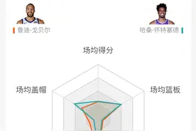 会说谎的数据！顶薪的戈贝尔和底薪的怀特塞德，到底差在哪里？图片