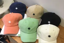 [网红刺绣树叶鸭舌帽只要5.85������ 速度撸图片