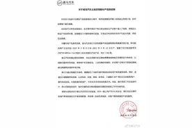 威马汽车月内三度自燃 官方微博宣布召回共计1282辆“风险”车图片
