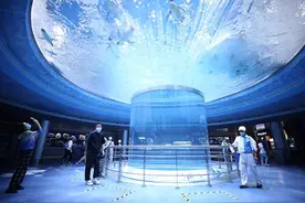 上海海昌海洋公园防疫升级 严控入场人数 增加表演场次图片