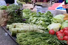 长沙市场现“掉色葱”，这样的菜还能不能吃？图片