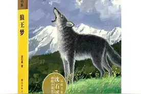 （兰心书院）《狼王梦》读后感图片