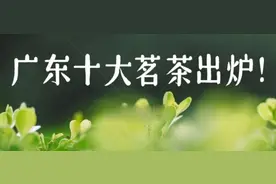 茶友必看！2021年广东十大茗茶出炉，看看你喝过哪些……图片