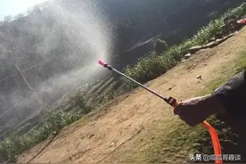 农用电动式喷雾器，喷雾压力强，果树农药消毒样样行，农民好帮手图片