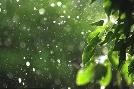 清明，我在人间想你：致天堂的亲人！图片