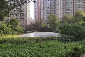 突破3万/㎡成交，滨湖仅剩的“洼地”也追上来了图片