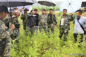 吉林省在东北地区率先启动林草生态综合监测评价工作图片