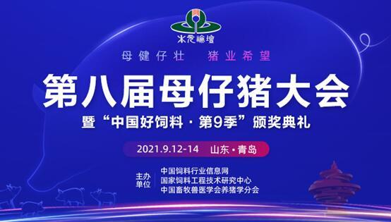 绿赛“4合1”组合解决方案助力仔猪无抗更轻松