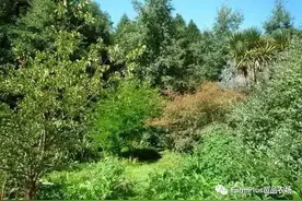 森林生态农业 | 2位兼职管理100种作物的高效农场，正在全球兴起图片