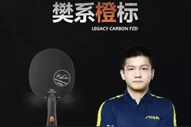 「精英聊器材」樊系橙标跟许昕蓝标有什么不同图片